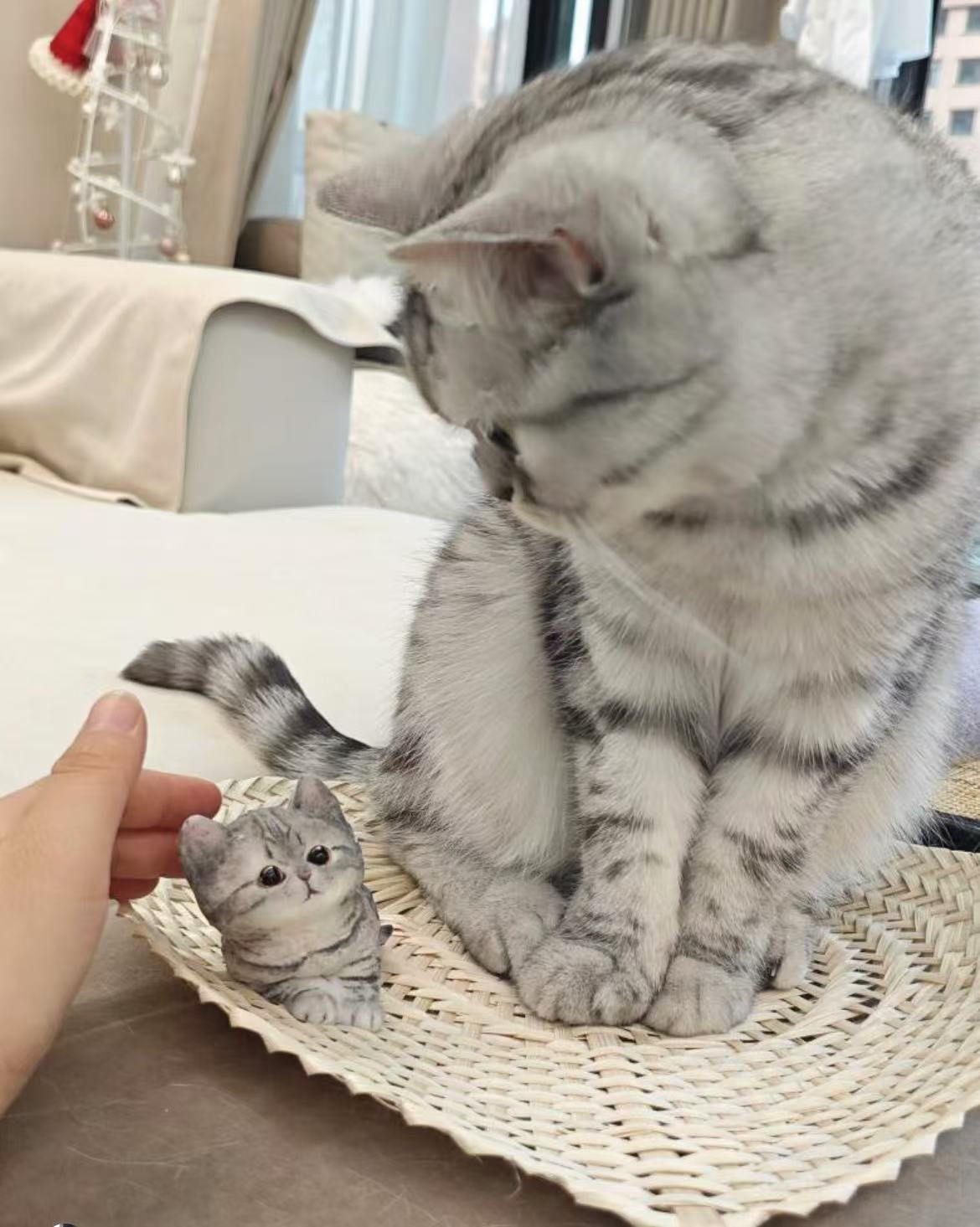 【Cat 】Inedible Handmade Silicone Squishy Toy