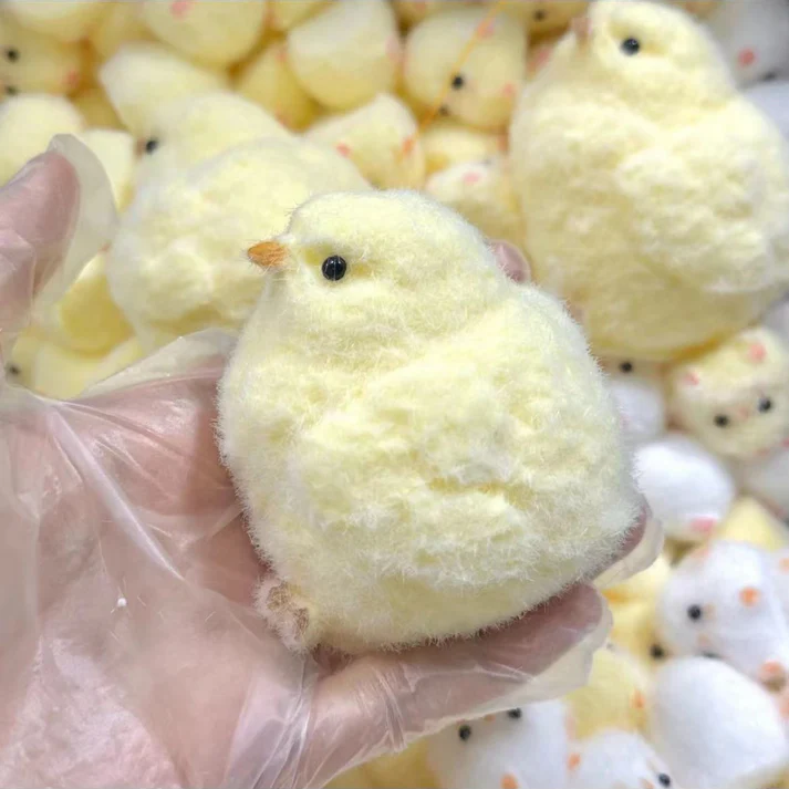 10 Charming Flaws of Handmade Chicken Squishies