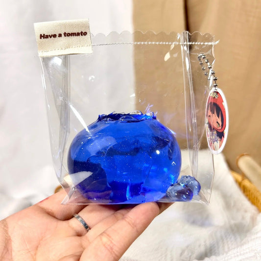 1A【Blueberry】Transparent Squishy Toys