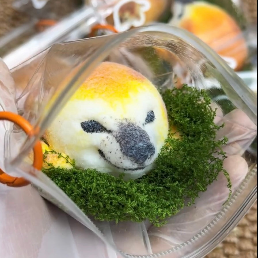 1A【Shiba Frog】Inedible Handmade Silicone Squishy Toy