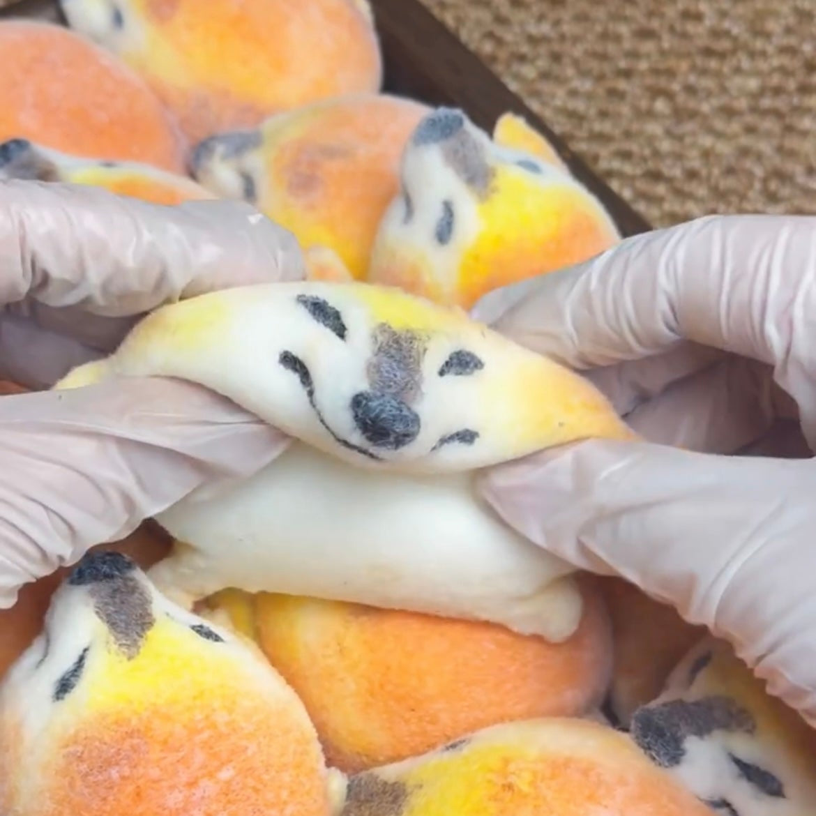 1A【Shiba Frog】Inedible Handmade Silicone Squishy Toy