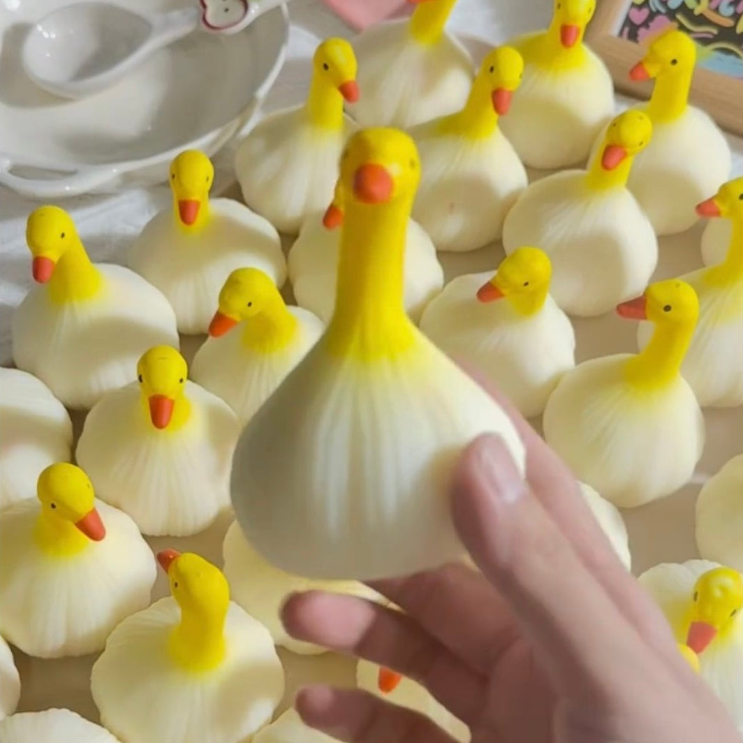 【Garlic Duck】Handmade  Ball Stress Ball