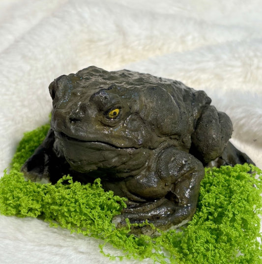 A【Frog】Inedible Handmade Silicone Squishy Toy